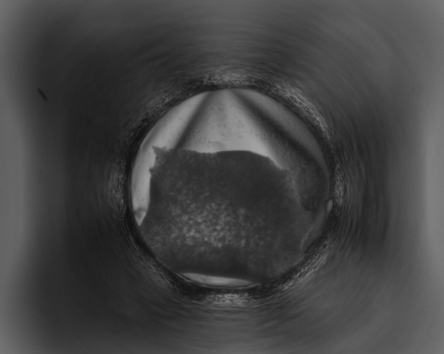 X0000095670449200801291140