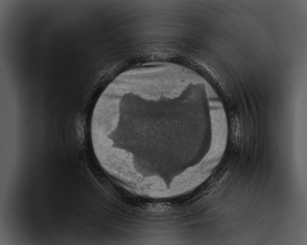 X0000095670451200801291140