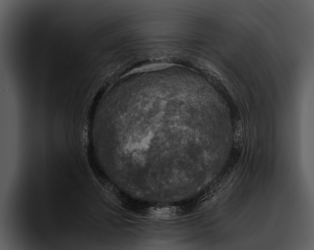 X0000095670452200801291140