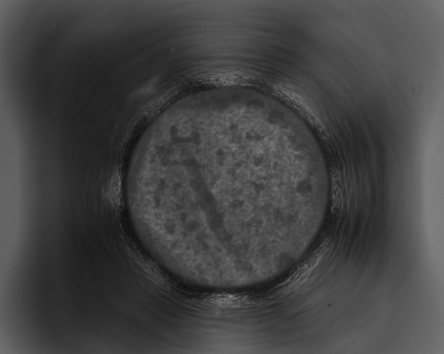 X0000095670453200801291140