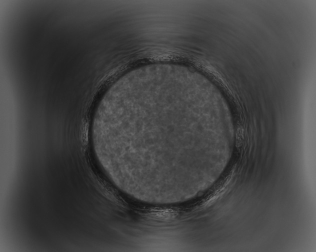 X0000095670454200801291140