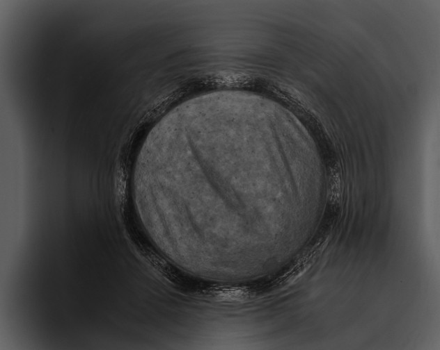 X0000095670456200801291140