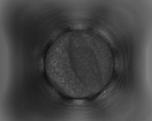 X0000095670457200801291140