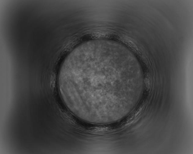 X0000095670458200801291140