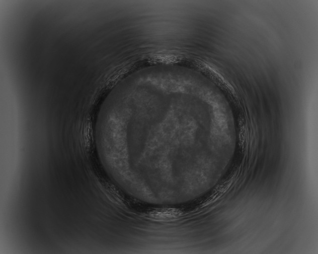 X0000095670459200801291140