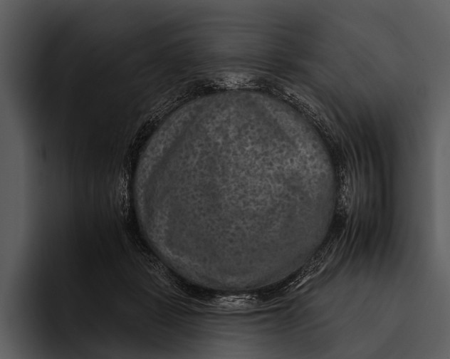 X0000095670461200801291140