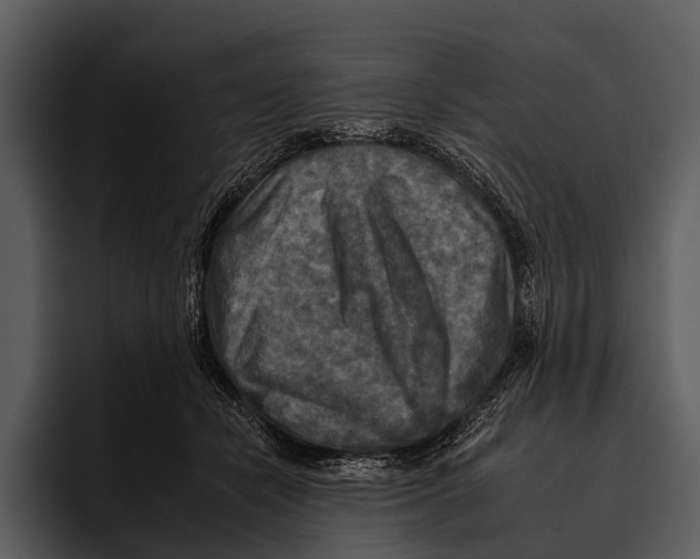 X0000095670462200801291140