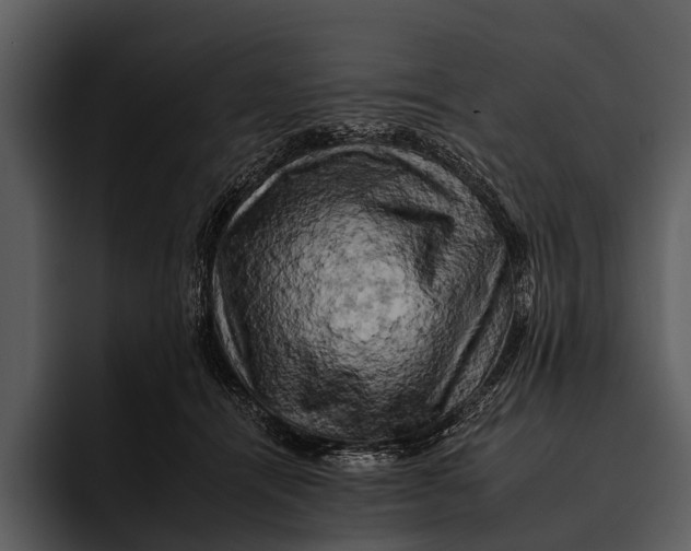 X0000095670464200801291140