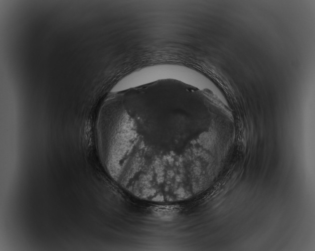 X0000095670465200801291140