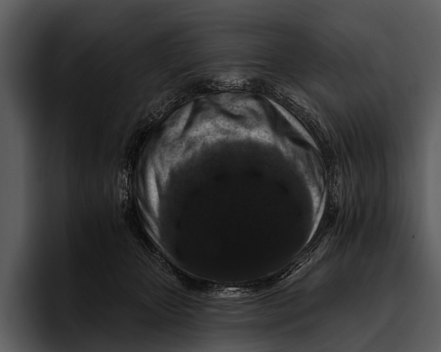 X0000095670467200801291140