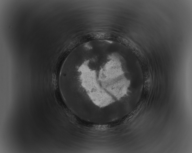 X0000095670469200801291140