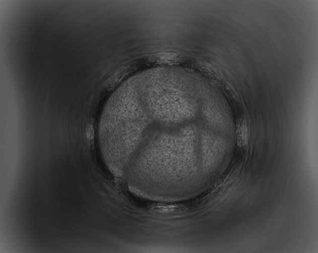 X0000095670472200801291140