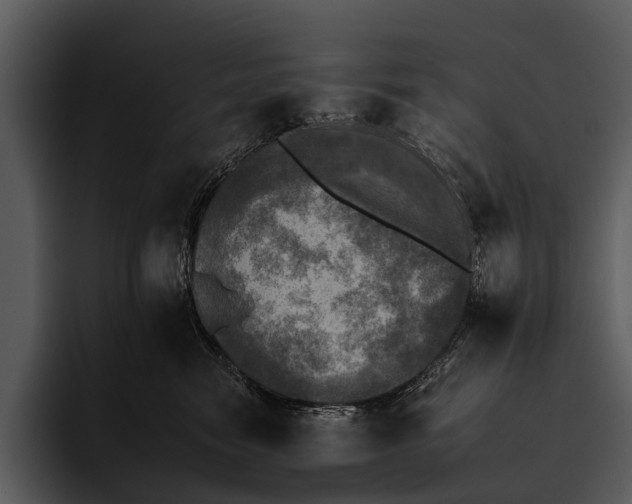 X0000095670474200801291140