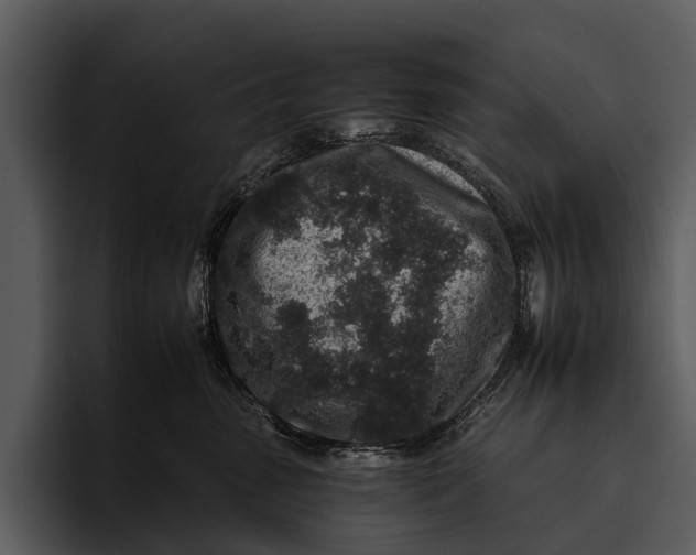 X0000095670475200801291140