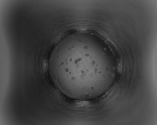 X0000095670476200801291140