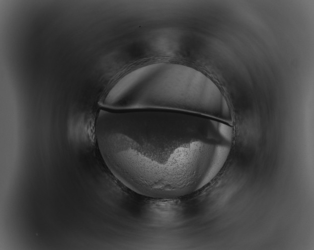 X0000095670479200801291140