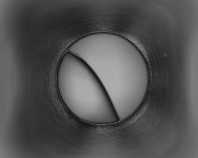 X0000095670481200801291140