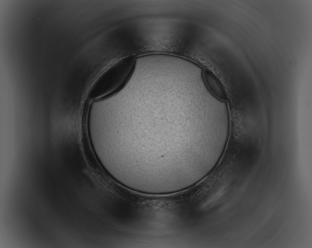 X0000095670482200801291140