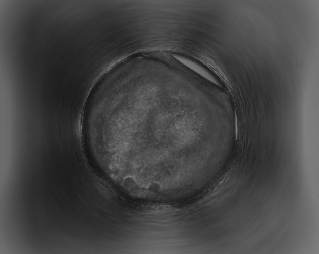 X0000095670483200801291140