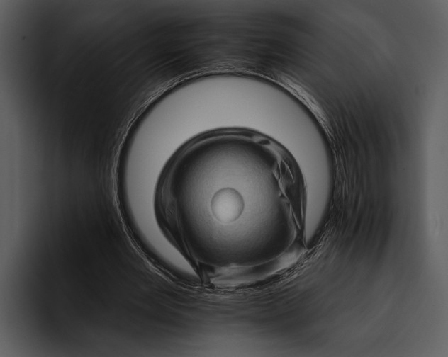 X0000095670485200801291140