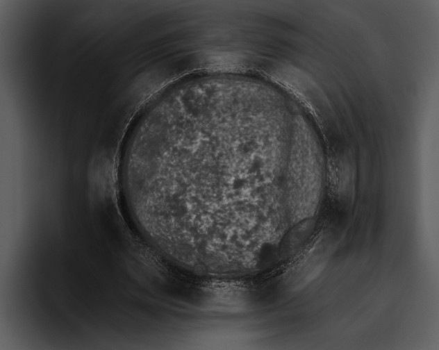 X0000095670487200801291140