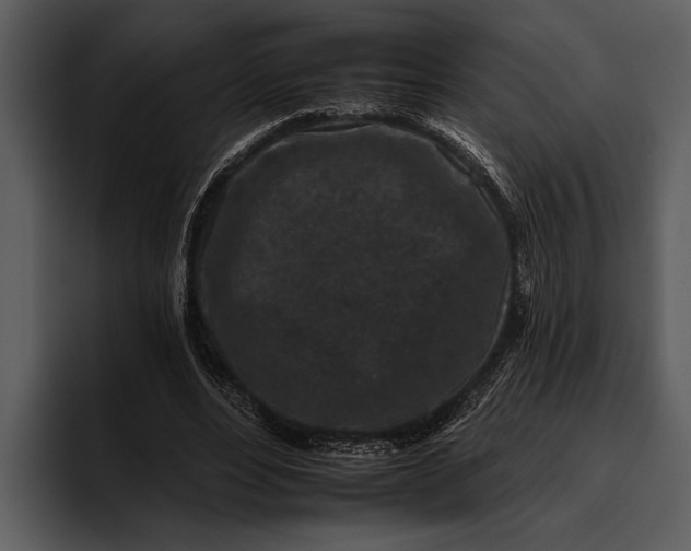 X0000095670488200801291140