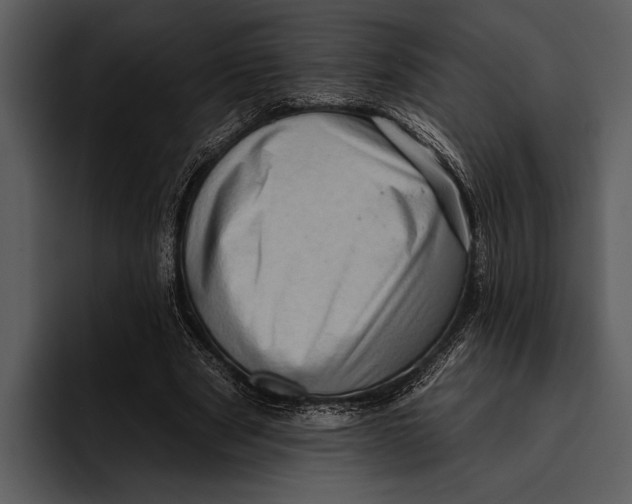 X0000095670489200801291140