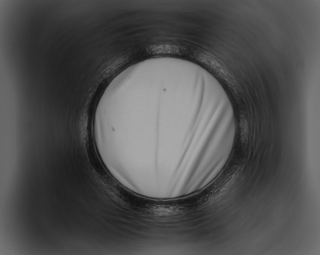 X0000095670490200801291140