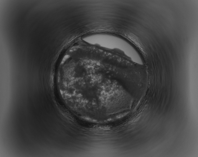 X0000095670491200801291140