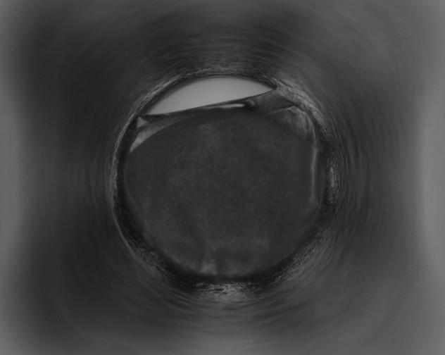 X0000095670492200801291140