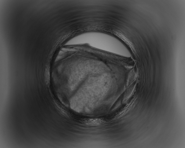 X0000095670493200801291140