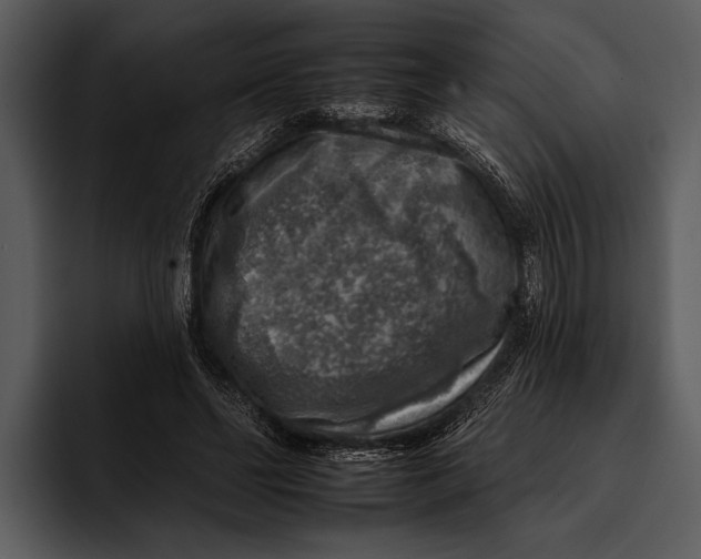 X0000095670494200801291140