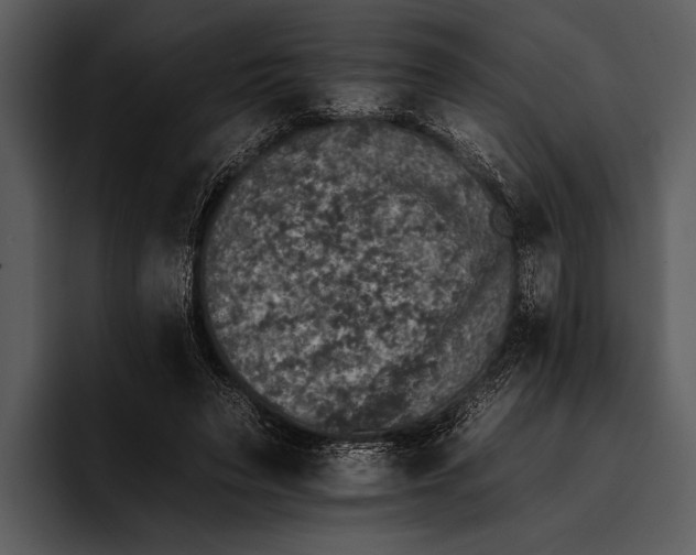 X0000095670495200801291140