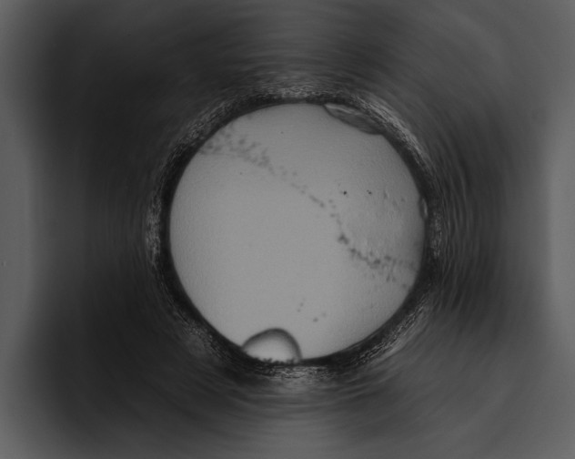 X0000095670497200801291140