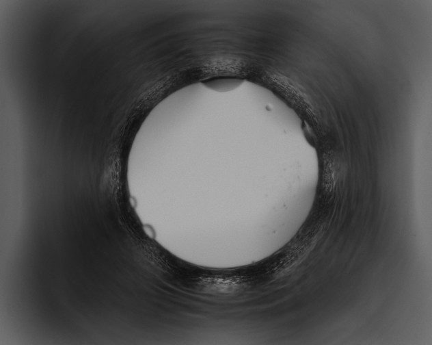 X0000095670498200801291140