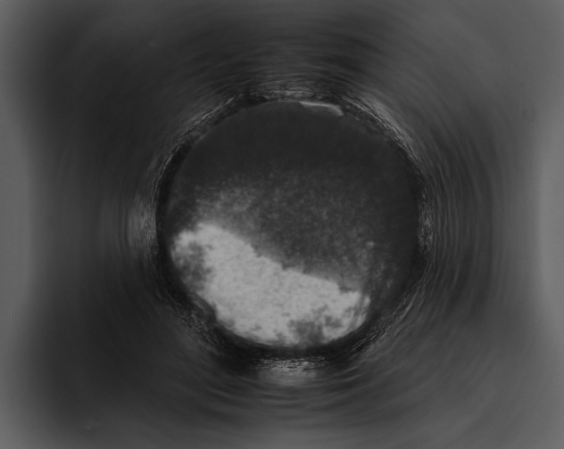 X0000095670500200801291140