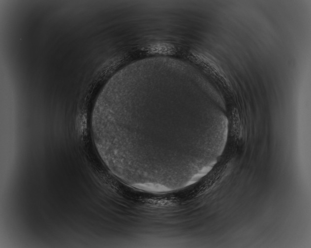 X0000095670502200801291140