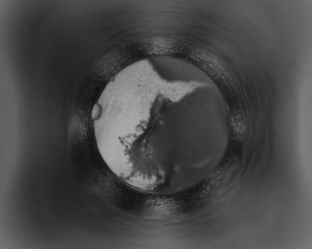 X0000095670503200801291140