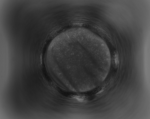 X0000095670504200801291140