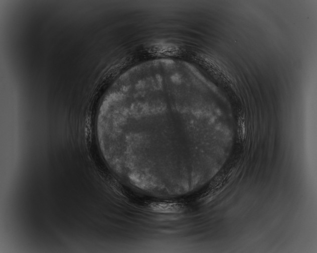 X0000095670506200801291139