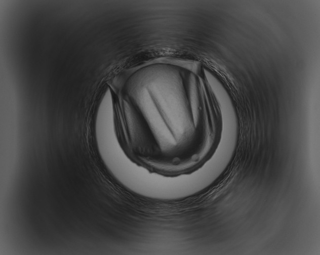 X0000095670509200801291139