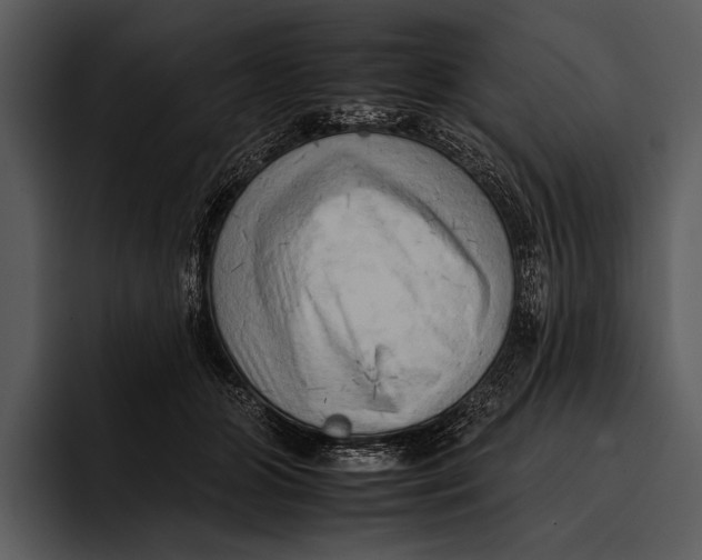 X0000095670510200801291139