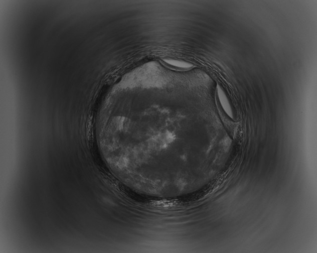 X0000095670511200801291139