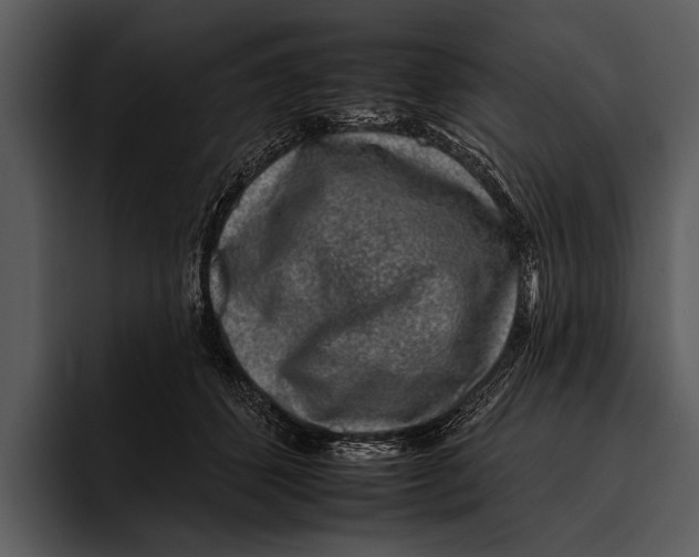 X0000095670512200801291139