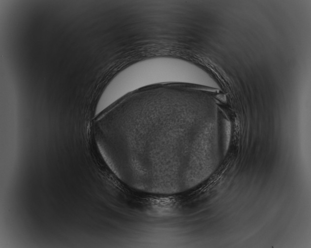 X0000095670513200801291139