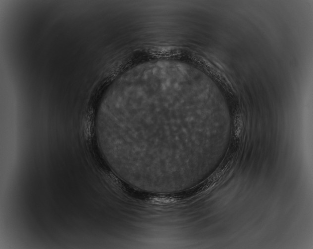 X0000095670515200801291139