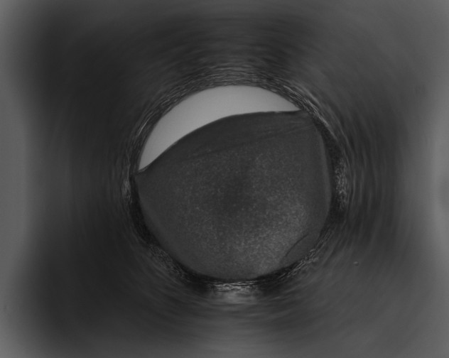 X0000095670516200801291139