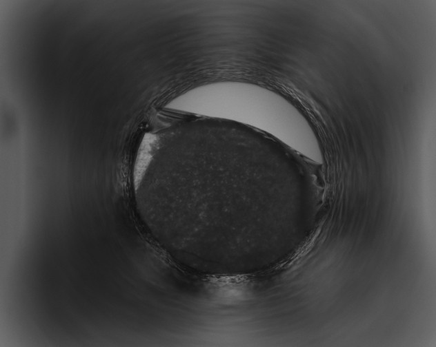 X0000095670517200801291139