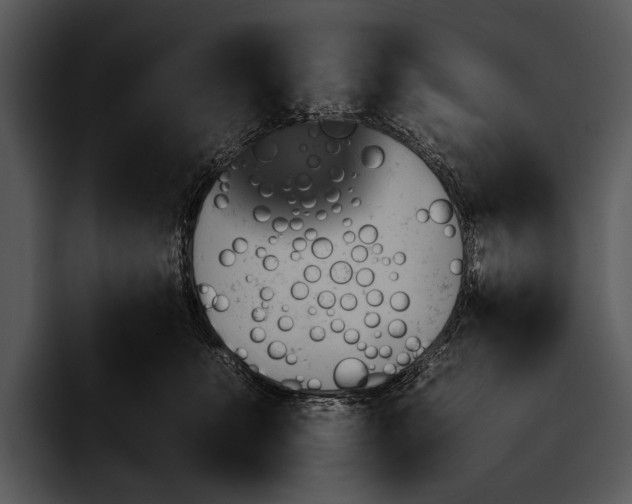 X0000095670519200801291139