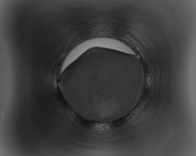 X0000095670520200801291139